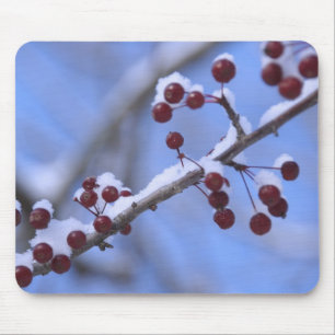 Alfombrilla De Ratón Estados Unidos, Nueva Inglaterra, Massachusetts, R