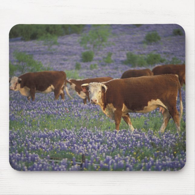 Alfombrilla De Ratón Estados Unidos, Texas, Texas Hill Country, Herefor (Frente)