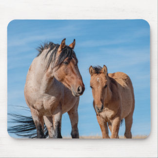 Alfombrilla De Ratón Estallión salvaje de Mustang y fango silvestre de 
