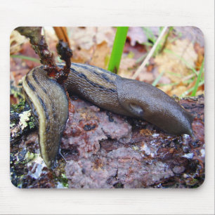 Alfombrilla De Ratón Estera Ceniciento-Gris del ratón de la barra