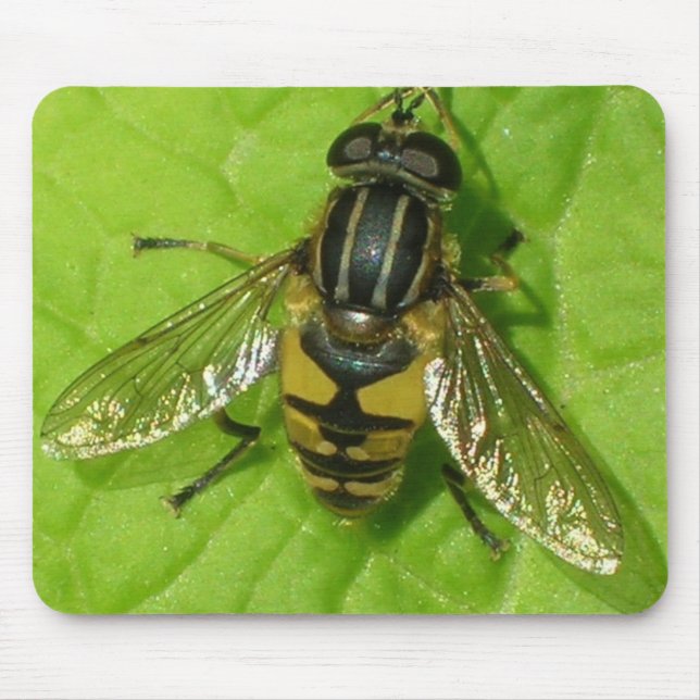 Alfombrilla De Ratón Estera del ratón de Hoverfly (Frente)