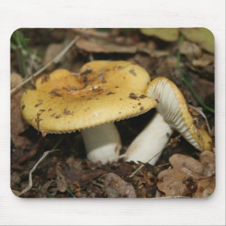 Alfombrilla De Ratón Estera del ratón de la seta