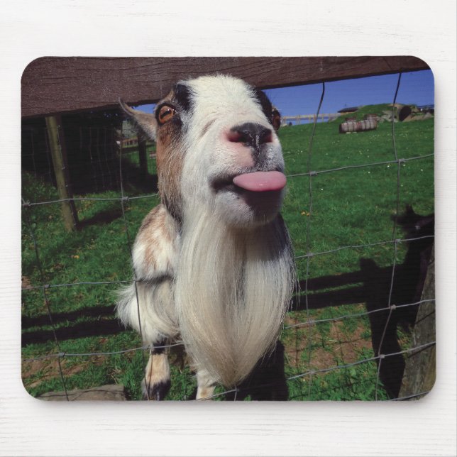 Alfombrilla De Ratón Estera fresca del ratón de la cabra (Frente)