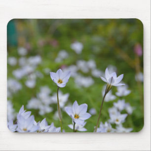 Alfombrilla De Ratón Estrella de primavera