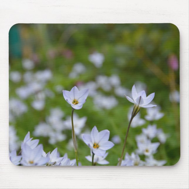 Alfombrilla De Ratón Estrella de primavera (Frente)