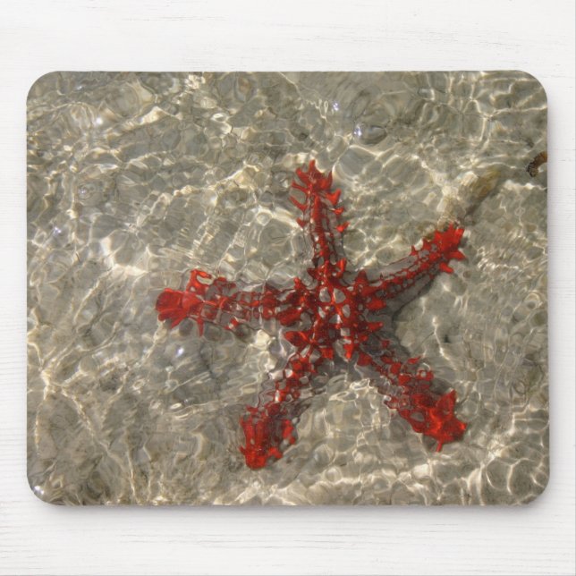 Alfombrilla De Ratón Estrella del Mar Rojo - Mousepad (Frente)