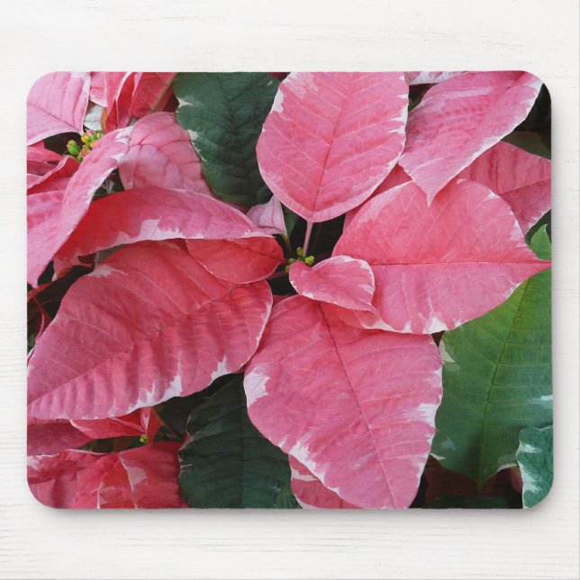 Alfombrilla De Ratón Estrella plateada de mármol Poinsettias Flor de va (Frente)