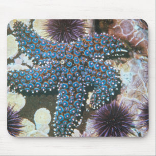 Alfombrilla De Ratón Estrellas de mar de Pisaster Giganteus