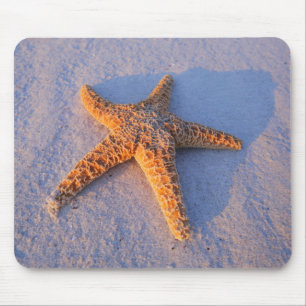 Alfombrilla De Ratón Estrellas de mar en la arena blanca