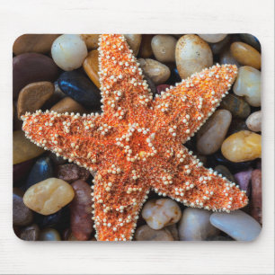 Alfombrilla De Ratón Estrellas de mar en rocas