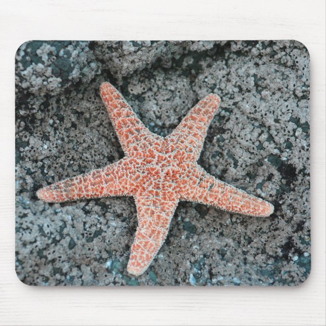 Alfombrilla De Ratón Estrellas de mar Mousepad (Frente)