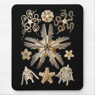 Alfombrilla De Ratón Estrellas frágiles