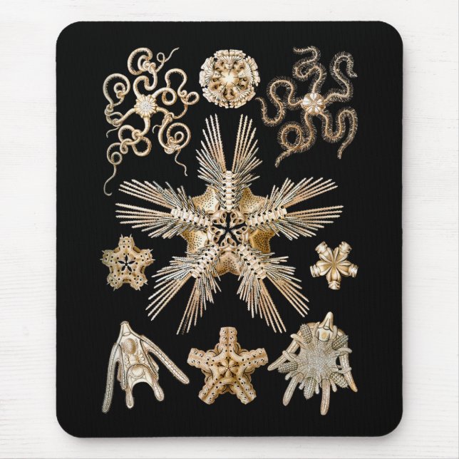 Alfombrilla De Ratón Estrellas frágiles (Frente)