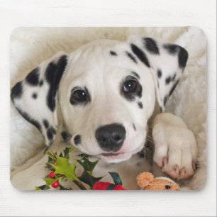 Alfombrilla De Ratón estudio