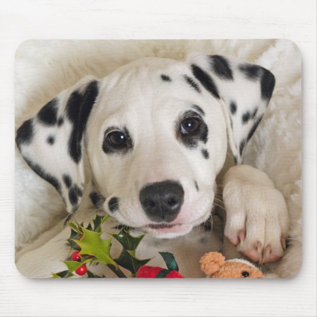 Alfombrilla De Ratón estudio (Frente)