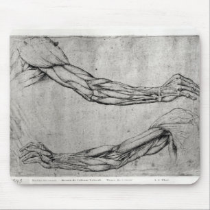 Alfombrilla De Ratón Estudio de brazos
