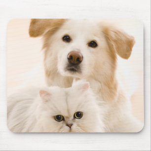 Alfombrilla De Ratón Estudio tirado de gato y de perro