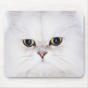 Alfombrilla De Ratón Estudio tirado del gato persa blanco