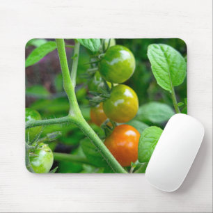 Alfombrilla De Ratón Etapas de maduración de tomates cherry