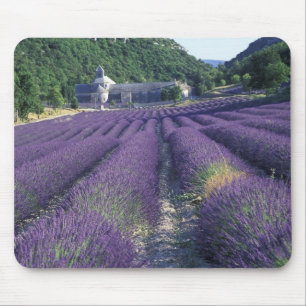 Alfombrilla De Ratón Europa, Francia, Provenza. Campos de lavanda