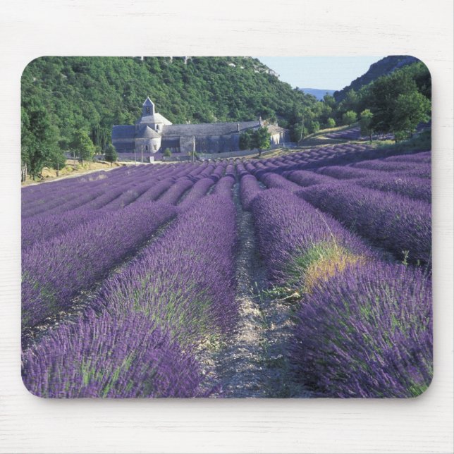 Alfombrilla De Ratón Europa, Francia, Provenza. Campos de lavanda (Frente)