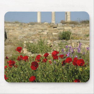 Alfombrilla De Ratón Europa, Grecia, Cícladas, Delos. Ruinas de columna