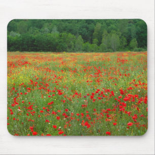 Alfombrilla De Ratón Europa, Italia, Toscana, amapolas rojas en campo.