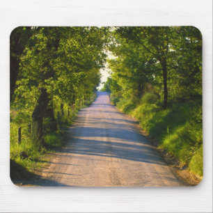 Alfombrilla De Ratón Europa, Italia, Toscana, carretera arbolada