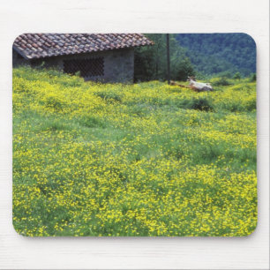 Alfombrilla De Ratón Europa, Italia, Toscana, Siena, Chianti.