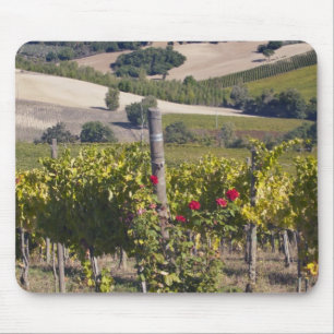 Alfombrilla De Ratón Europa, Italia, Umbría, cerca de Montefalco,