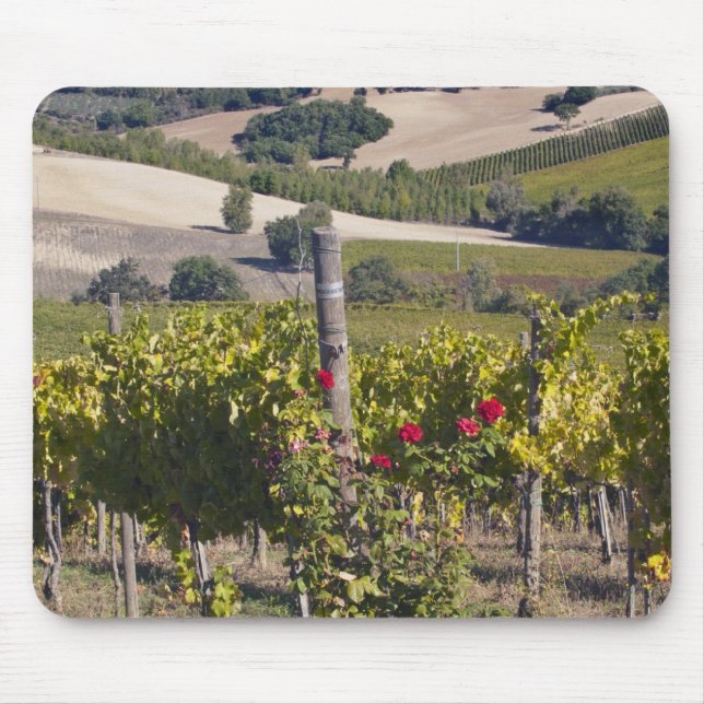 Alfombrilla De Ratón Europa, Italia, Umbría, cerca de Montefalco, Viñed (Frente)