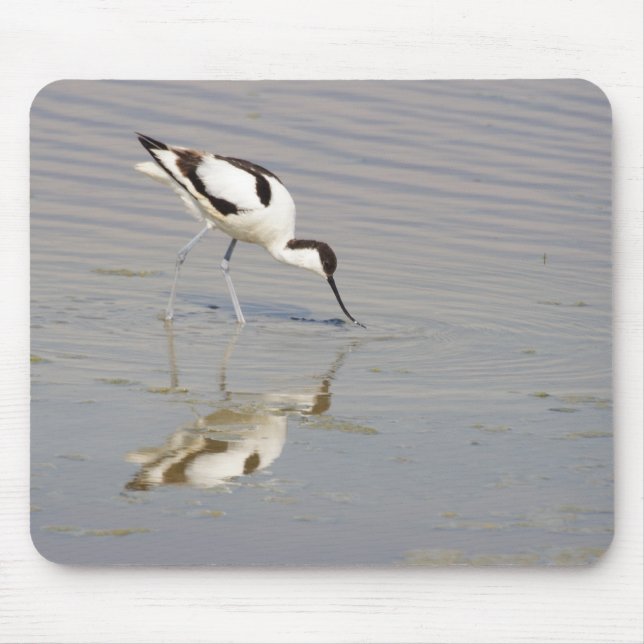 Alfombrilla De Ratón Evisetta recurvirostra (Frente)