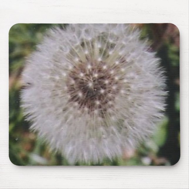 ALFOMBRILLA DE RATÓN EXCELENTE (Frente)