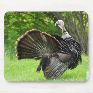 Alfombrilla De Ratón Exhibición de plumas de pavo Tom