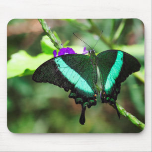Alfombrilla De Ratón Exotic Emerald Swallowtail