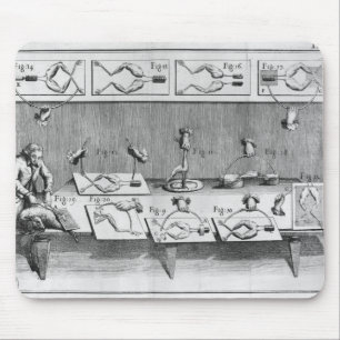 Alfombrilla De Ratón Experimento en ranas