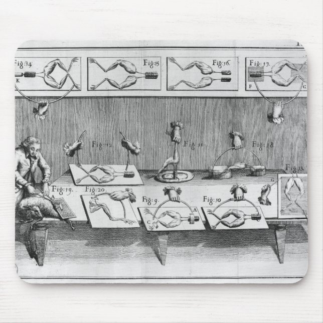 Alfombrilla De Ratón Experimento en ranas (Frente)