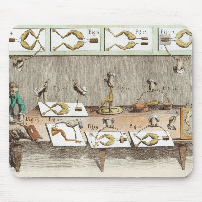 Alfombrilla De Ratón Experimento en ranas (Frente)