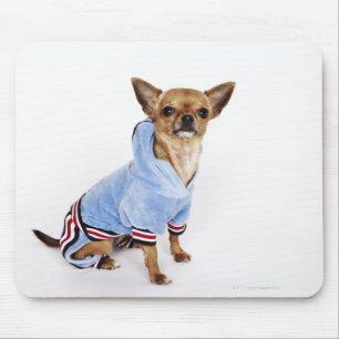 Alfombrilla De Ratón Extraño retrato de un Chihuahua Teacup 2