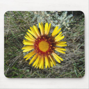Alfombrilla De Ratón F1 Flor Silvestre Amarilla Gaillardia