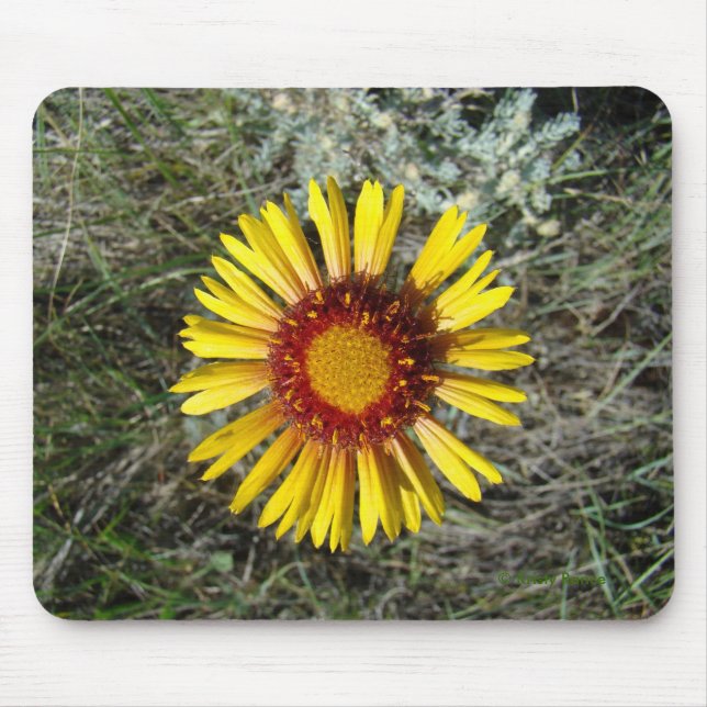 Alfombrilla De Ratón F1 Flor silvestre amarilla Gaillardia (Frente)