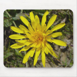 Alfombrilla De Ratón F21 Flor Silvestre Amarilla Crepis de Hoja Estrech