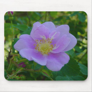 Alfombrilla De Ratón F37 Rosa Silvestre