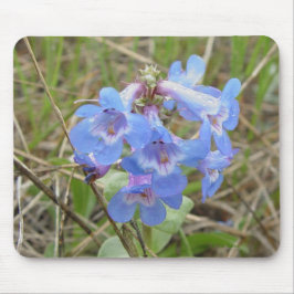 Alfombrilla De Ratón F3 Flores Silvestres Azules Slender Blue Beardtong