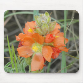 Alfombrilla De Ratón F40 Flores Silvestres Naranjas Mallow Escarlata