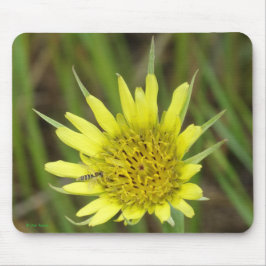 Alfombrilla De Ratón F41 Flor Amarilla de Barba de Cabra