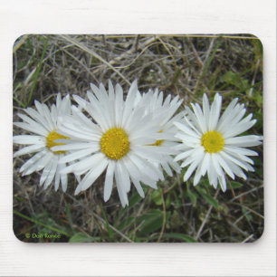 Alfombrilla De Ratón F42 Flores Silvestres Blancas Aster Liso