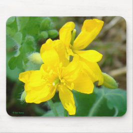 Alfombrilla De Ratón F44 Flores silvestres amarillas Mostaza silvestre