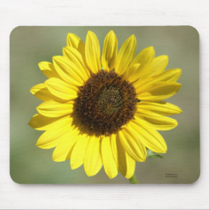 Alfombrilla De Ratón F47 Flor Amarilla Silvestre Girasol Anual Común