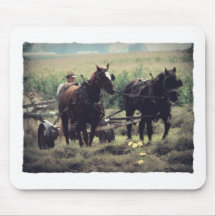 Fabricación del heno con los caballos